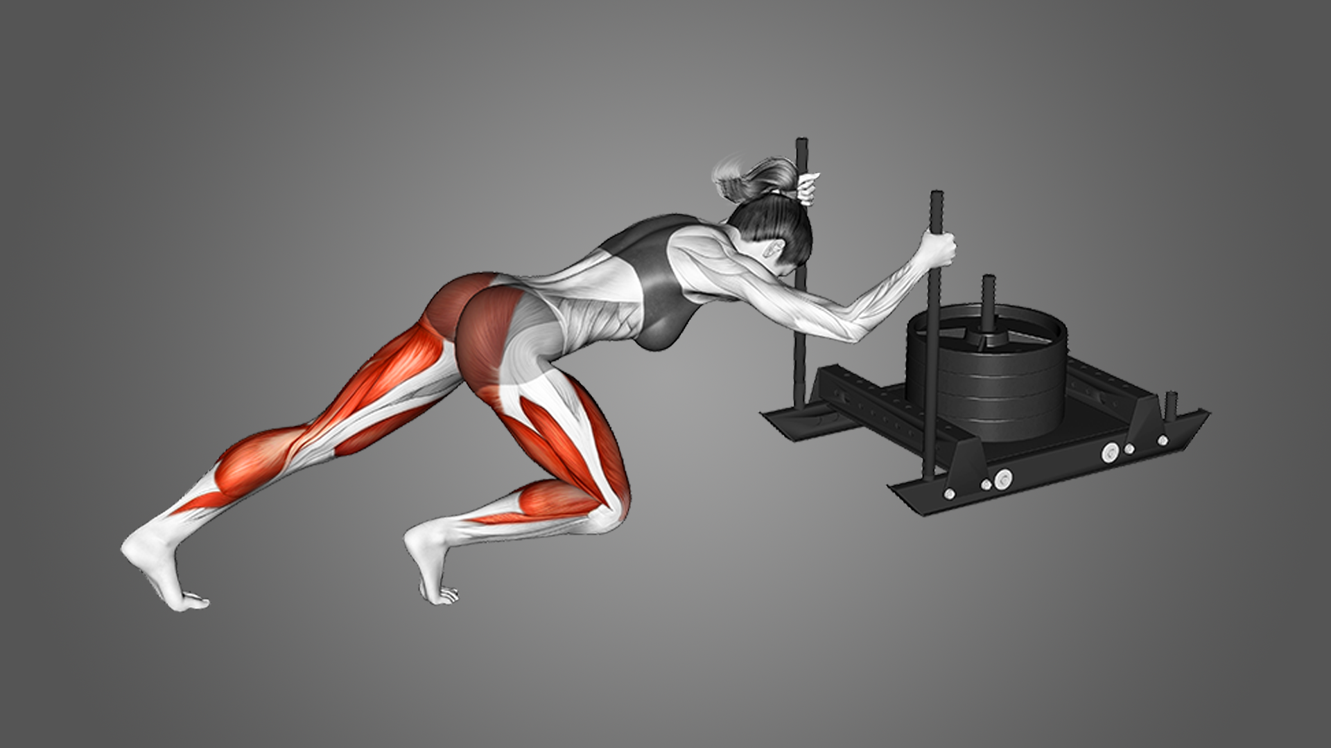 Understanding The Sled Push Workout The Lifestyle Elf