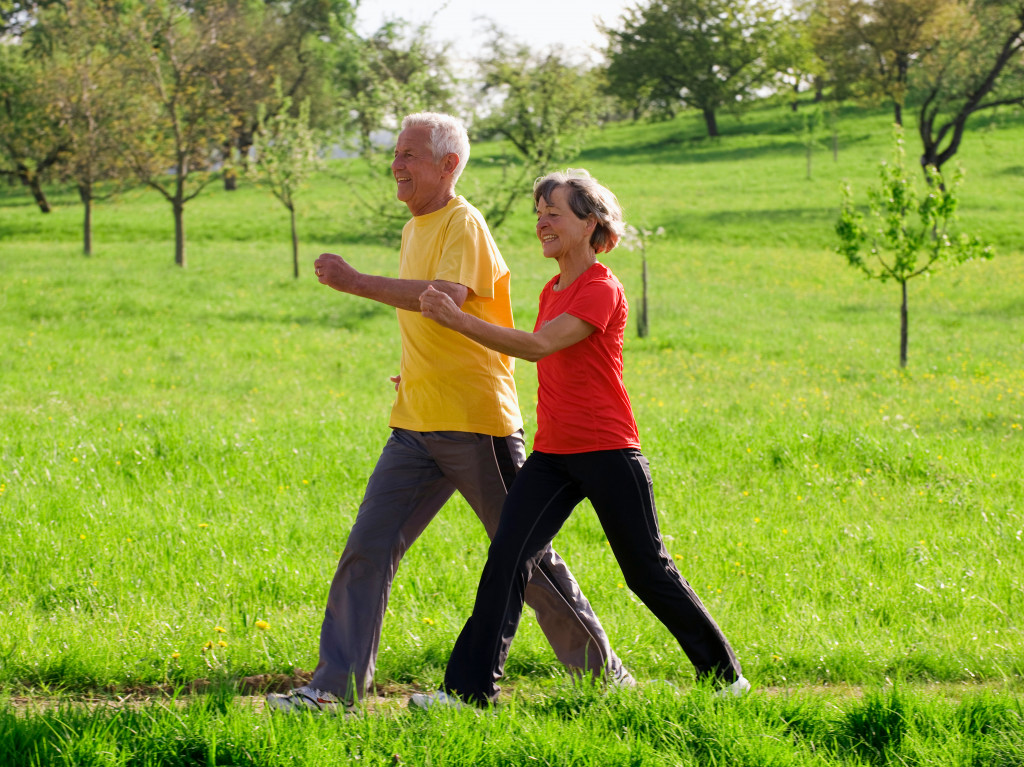 A senior couple walking in the field